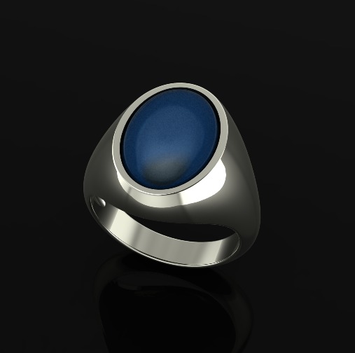 Ring Model 6919 3D print model_1