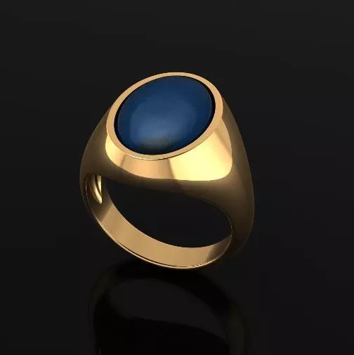Ring Model 6919 3D print model_0