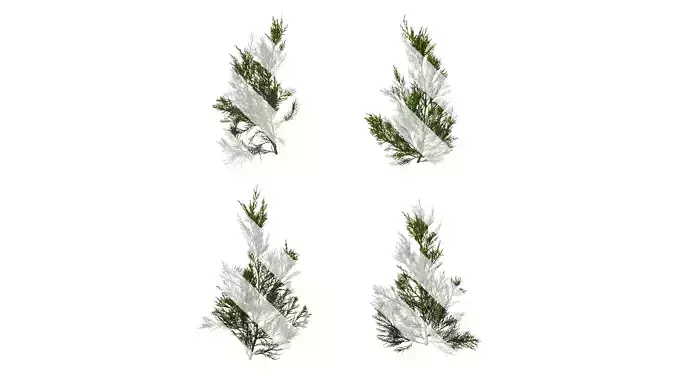 Anydrafts Juniperus chinensis Atlas 10 Texture