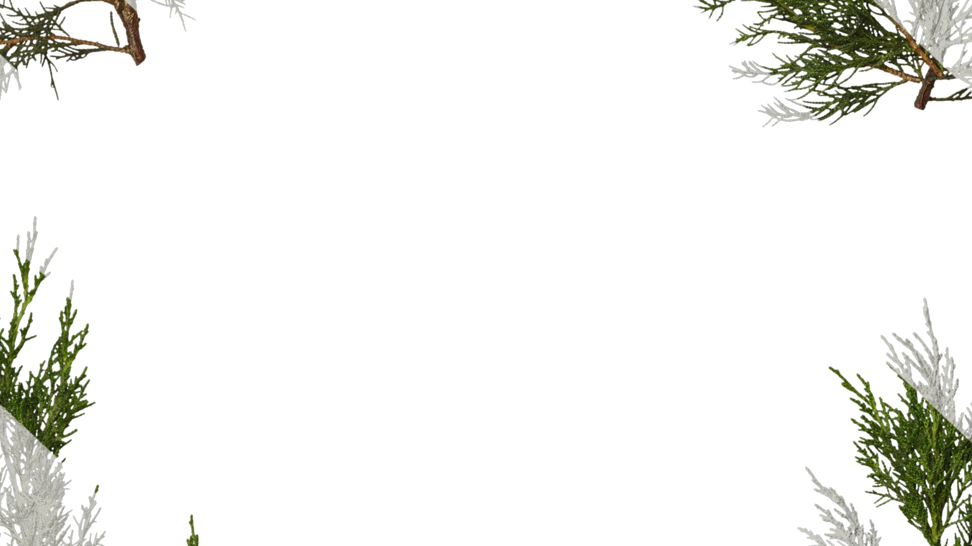 Anydrafts Juniperus chinensis Atlas 10 Texture_7