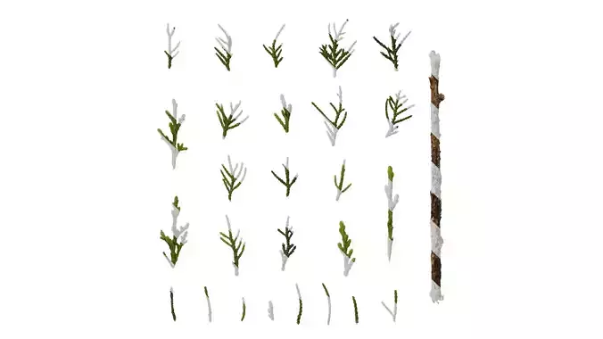 Anydrafts Juniperus chinensis Leaf 01 Texture