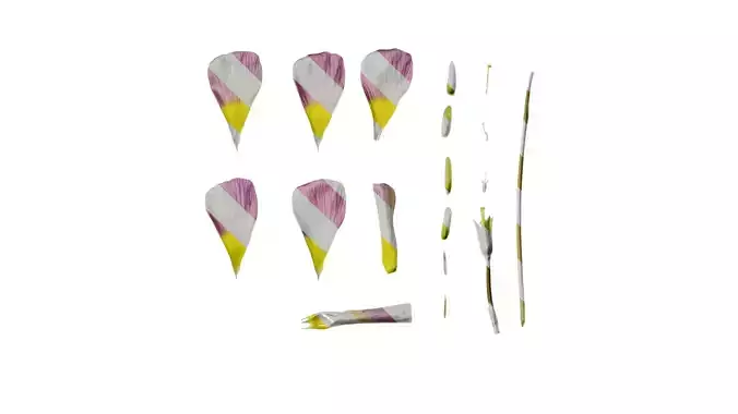 Anydrafts Oxalis obtusa Flower 01