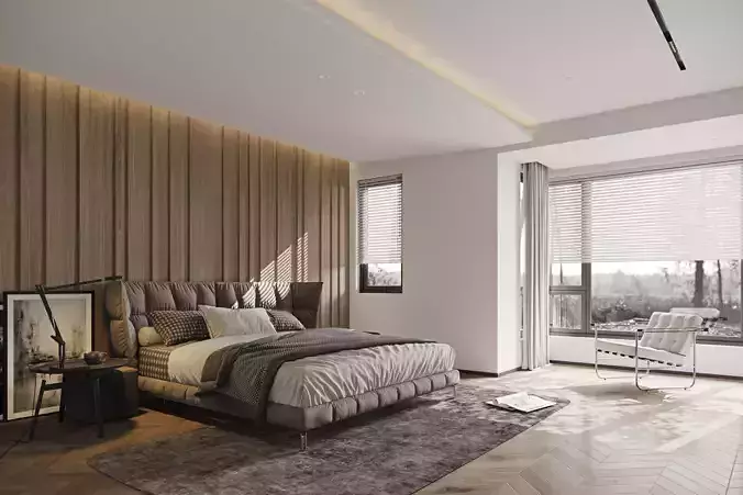 Bedroom interior scenes