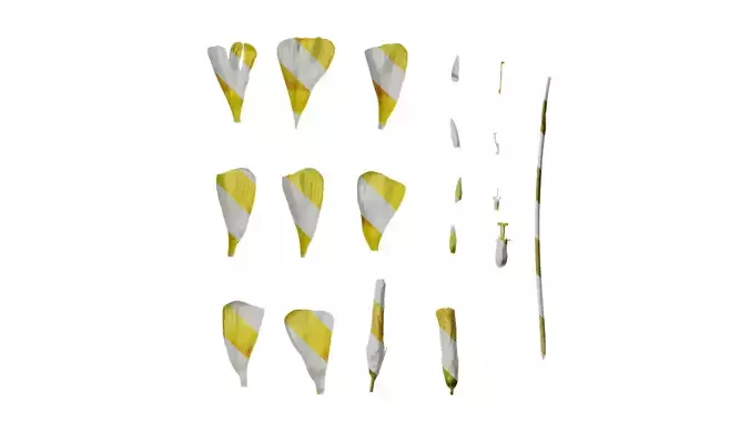 Anydrafts Oxalis obtusa Flower 04