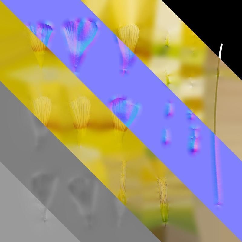 Anydrafts Oxalis obtusa Flower 04 Texture_8