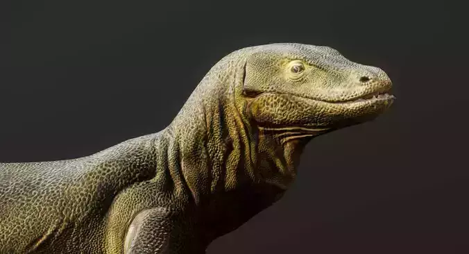 Komodo Dragon  3D model