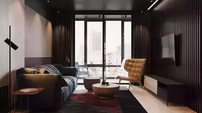 apartment interior scenes    