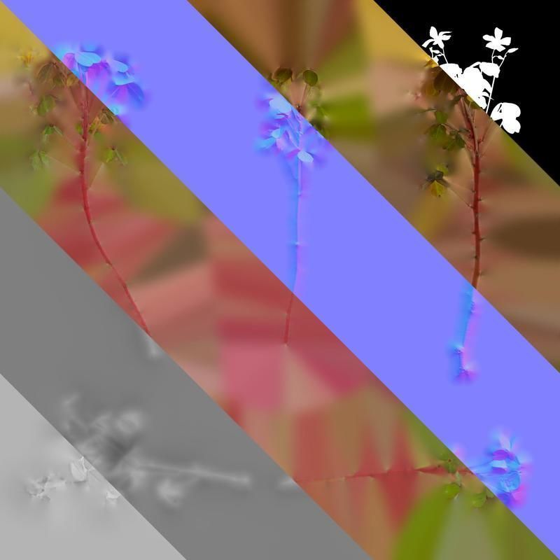 Anydrafts Oxalis pes caprae Atlas 02 Texture_8