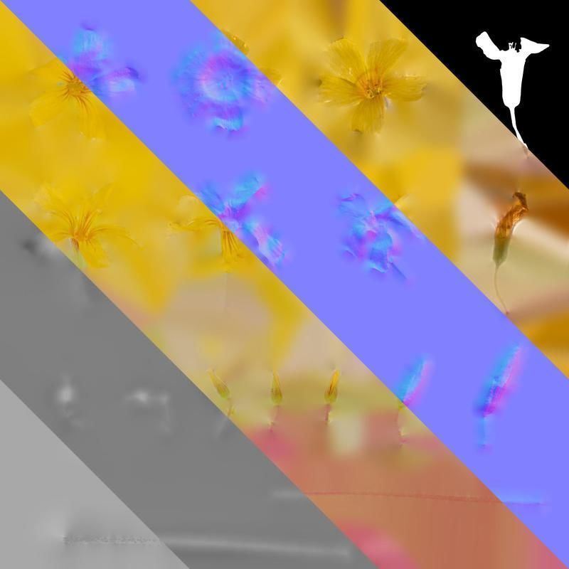 Anydrafts Oxalis pes caprae Flower 01 Texture_8