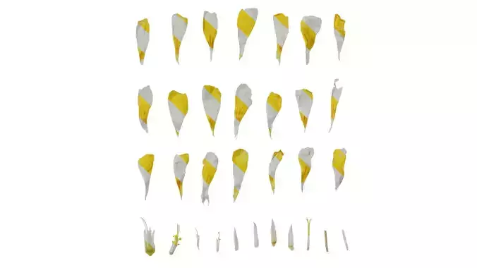 Anydrafts Oxalis pes caprae Flower 02