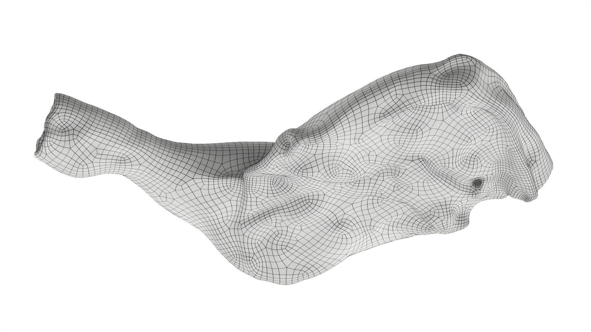 Smoked chicken leg 3D model_9