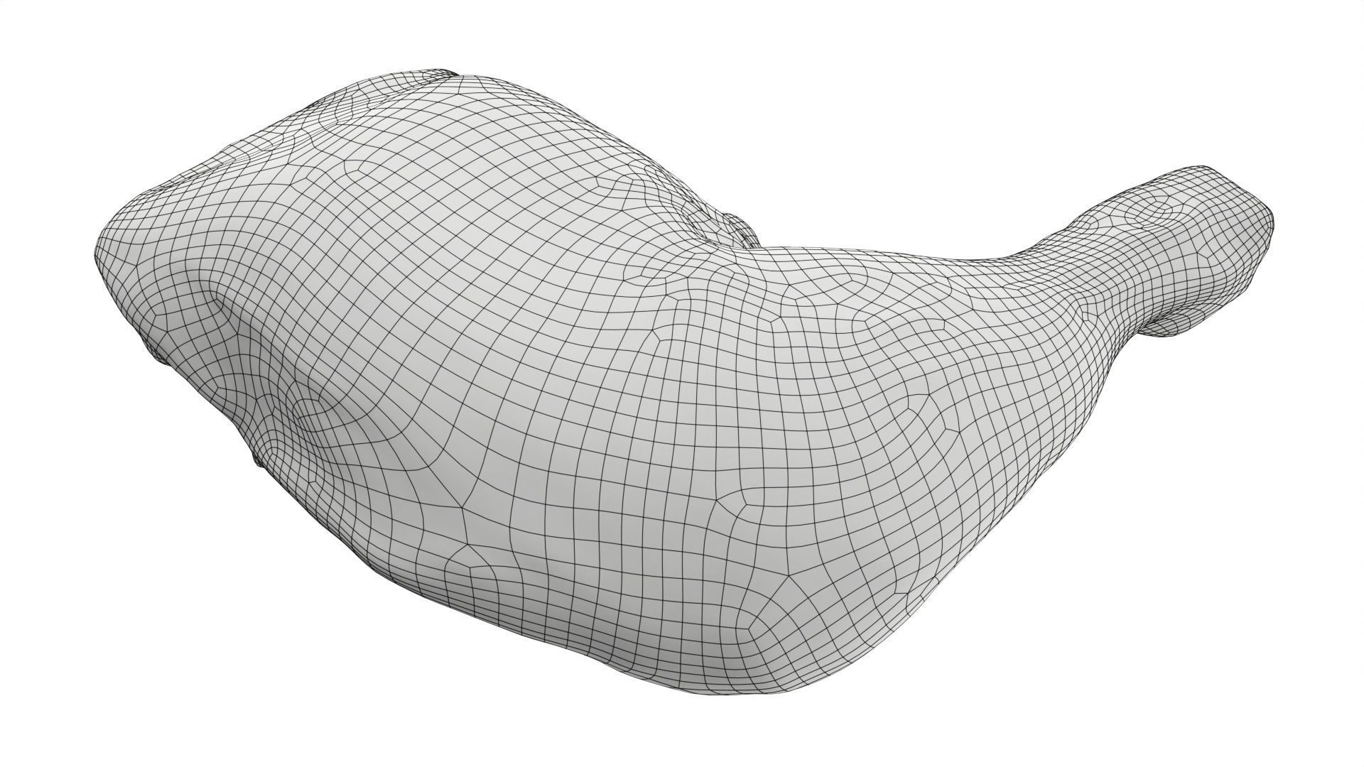 Smoked chicken leg 3D model_8