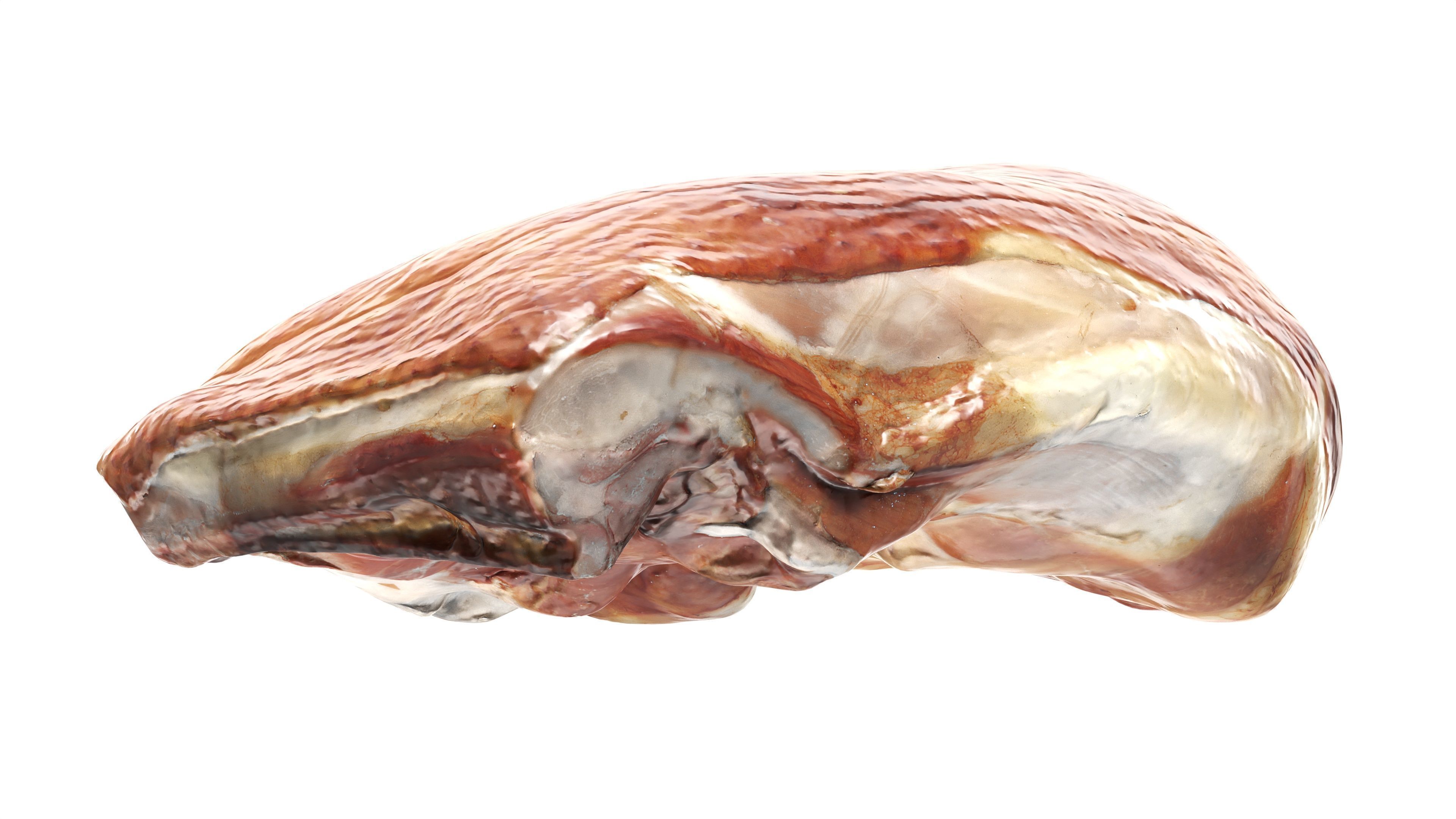 Smoked chicken leg 3D model_7