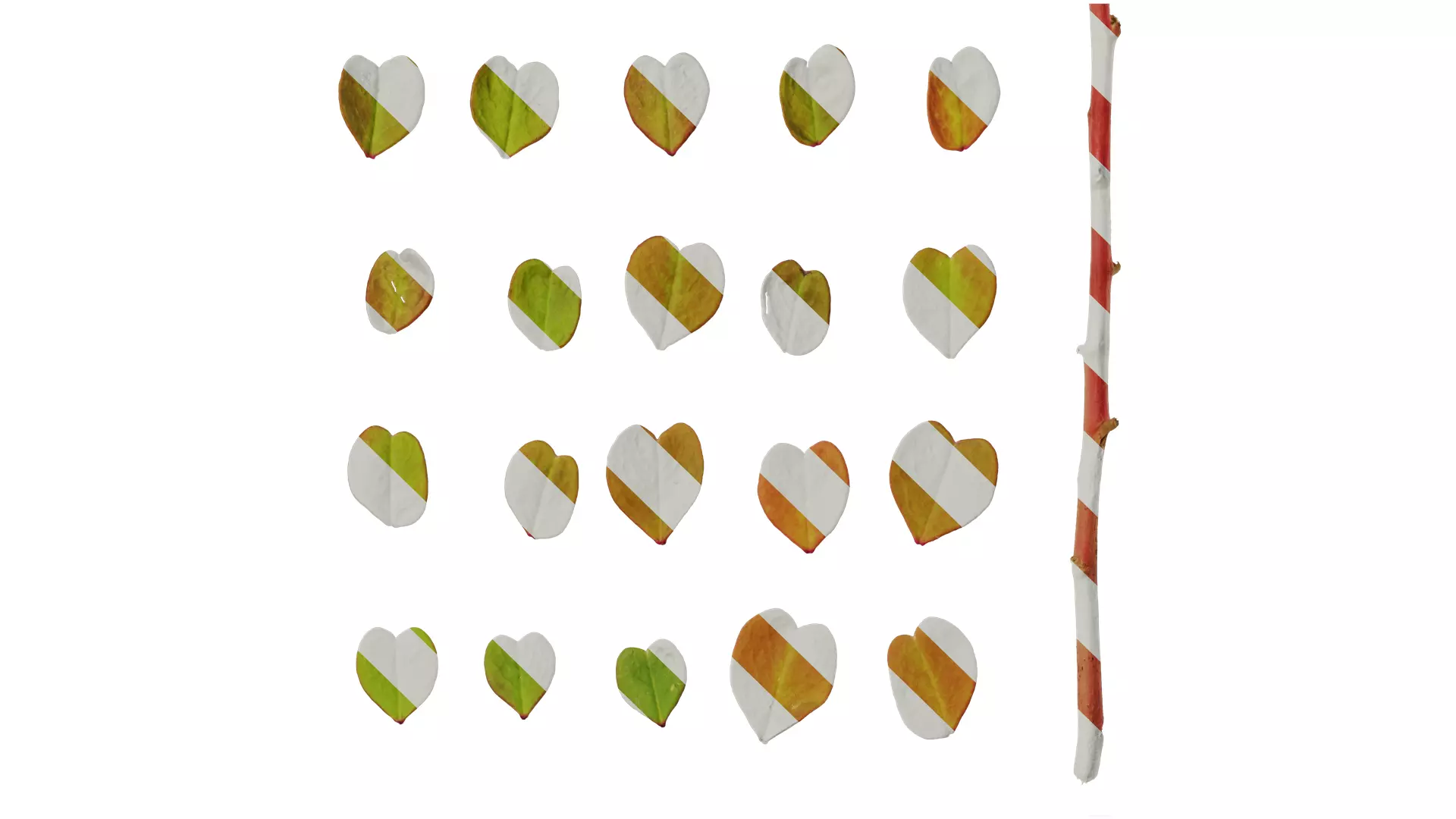 Anydrafts Oxalis pes caprae Leaf 02 Texture_0