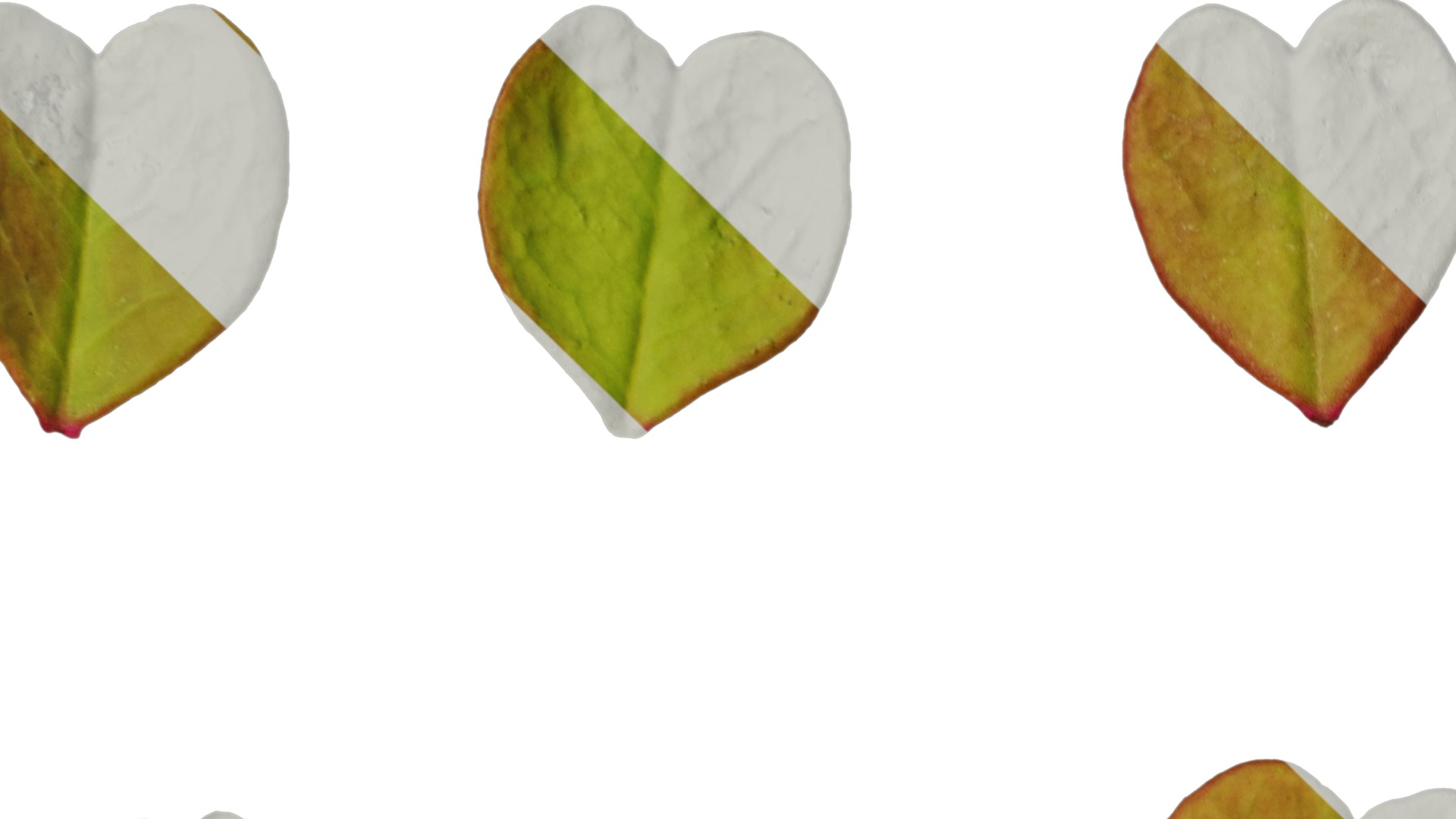 Anydrafts Oxalis pes caprae Leaf 02 Texture_1