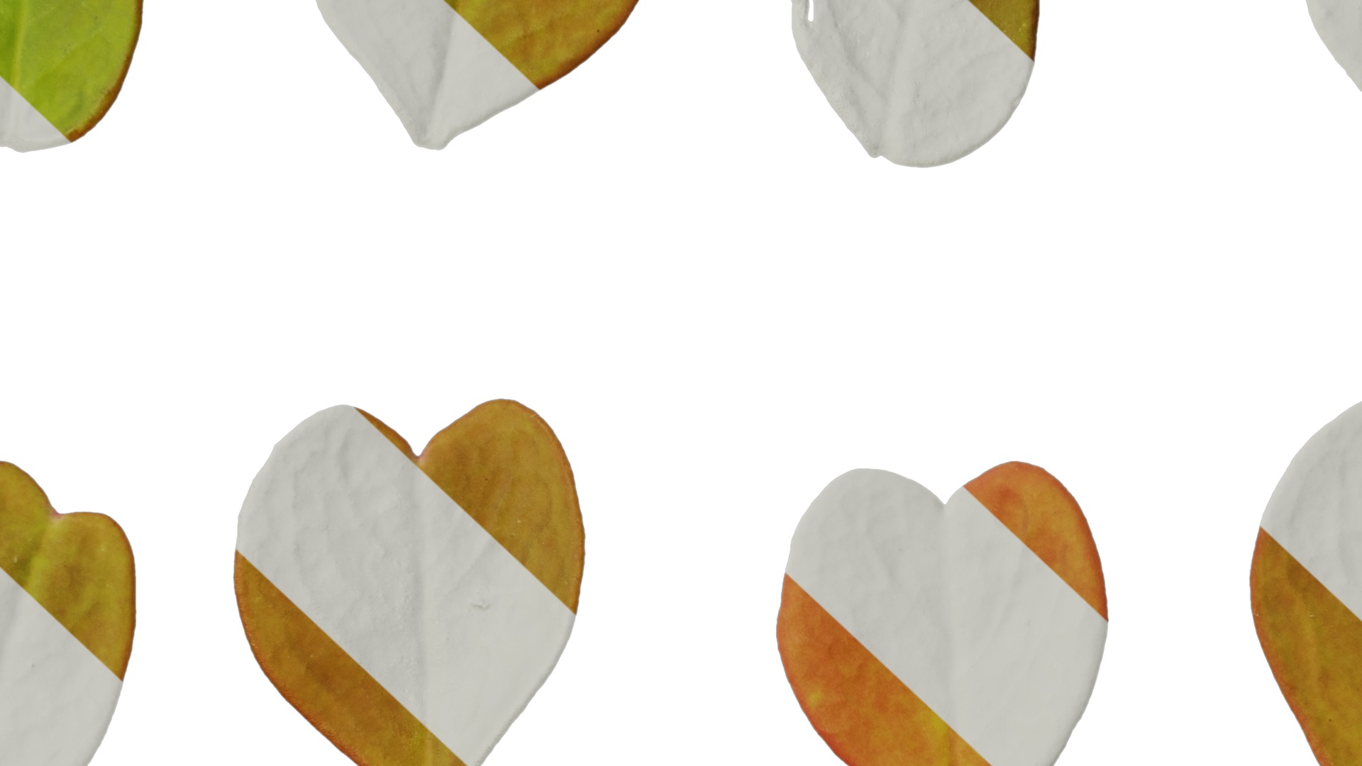 Anydrafts Oxalis pes caprae Leaf 02 Texture_7