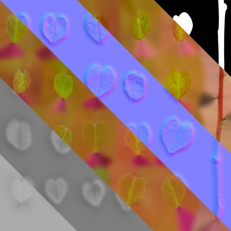 Anydrafts Oxalis pes caprae Leaf 02 Texture_8