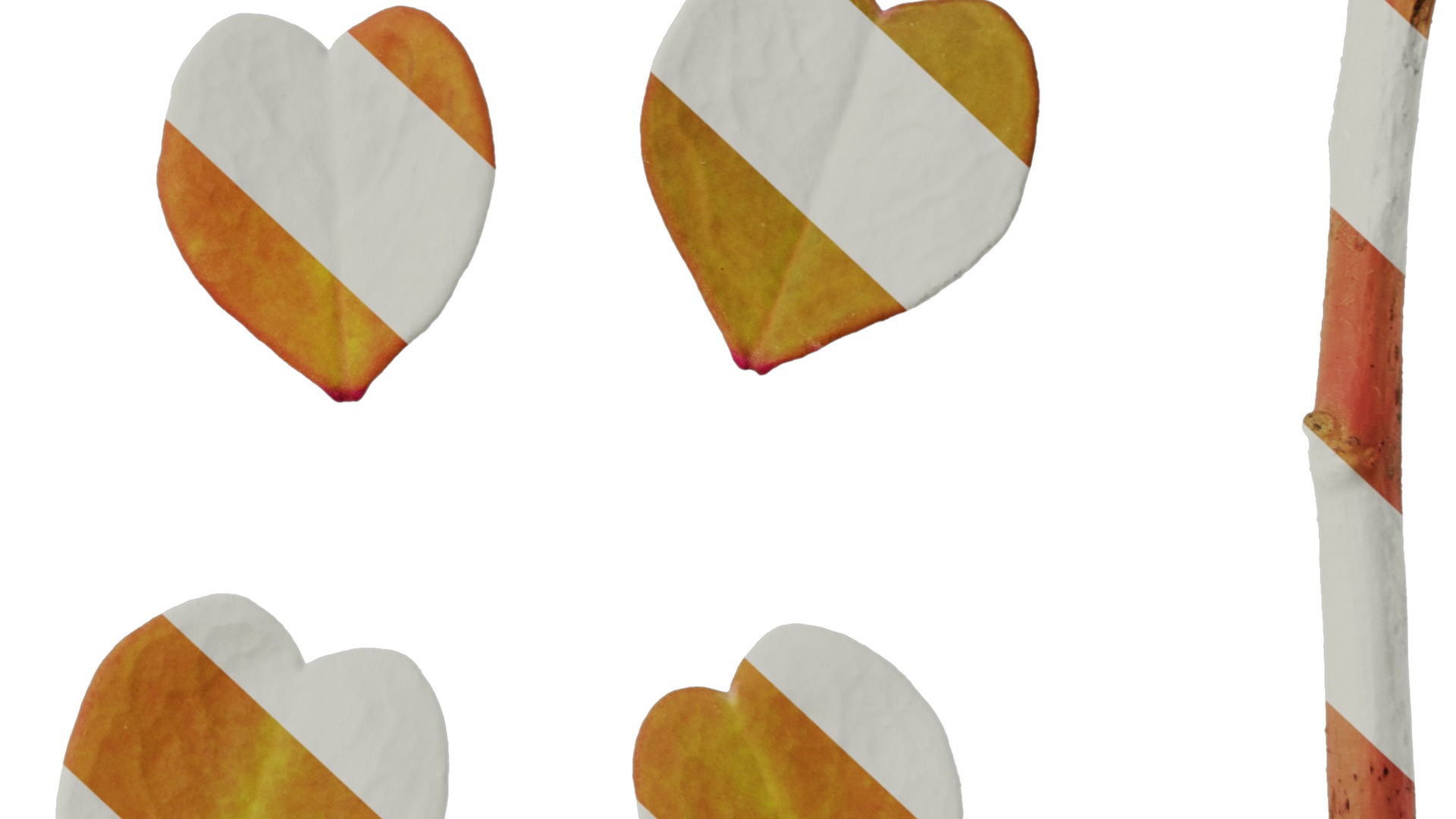 Anydrafts Oxalis pes caprae Leaf 02 Texture_6