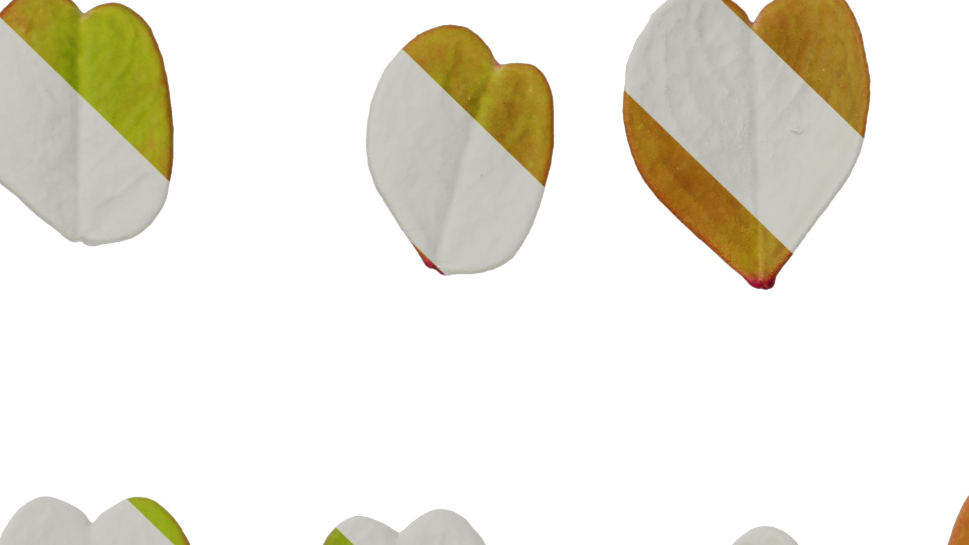 Anydrafts Oxalis pes caprae Leaf 02 Texture_5