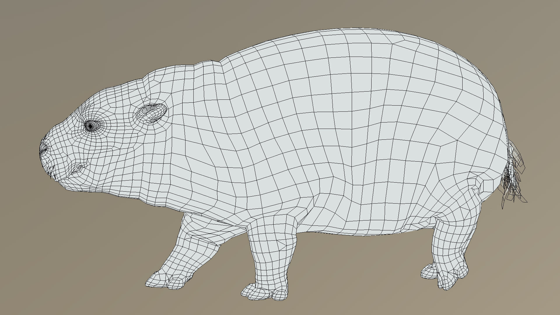 Baby Pygmy Hippopotamus 3D model_7