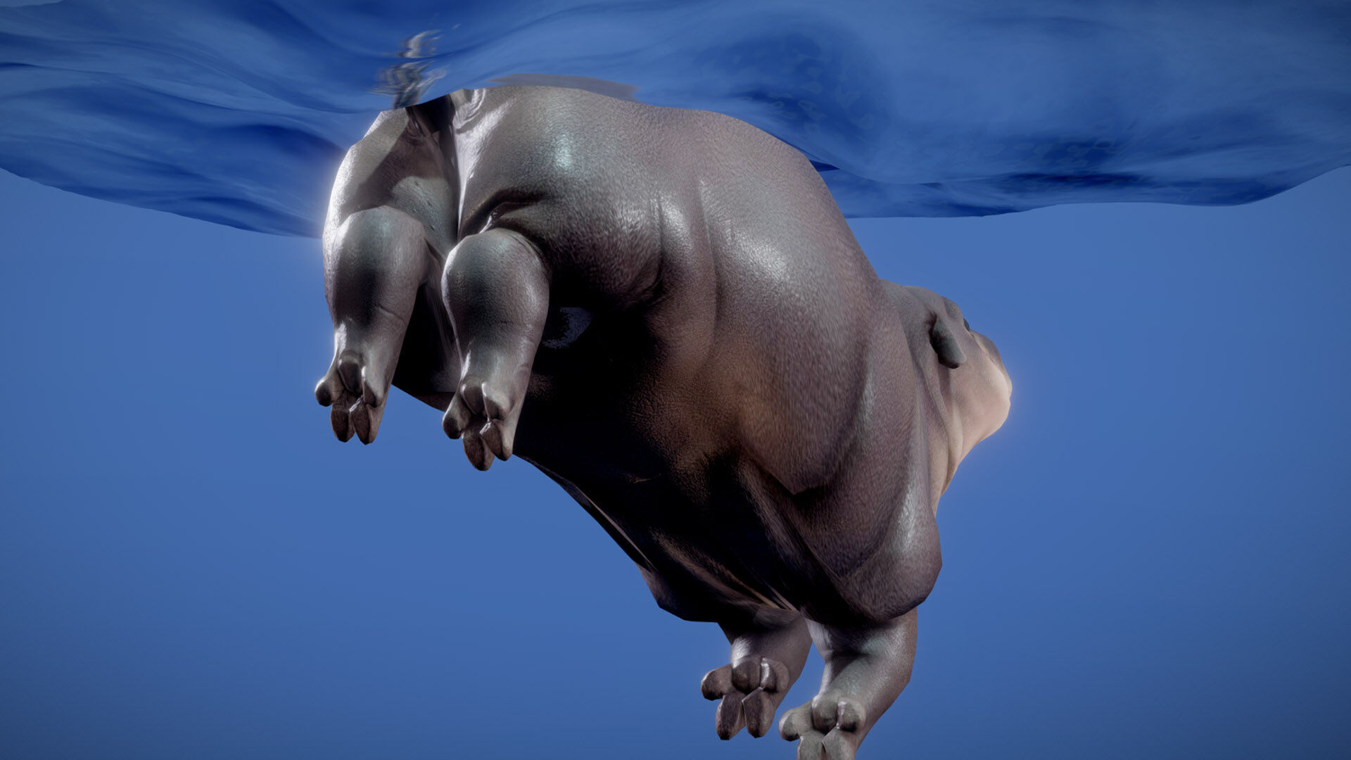 Baby Pygmy Hippopotamus 3D model_5