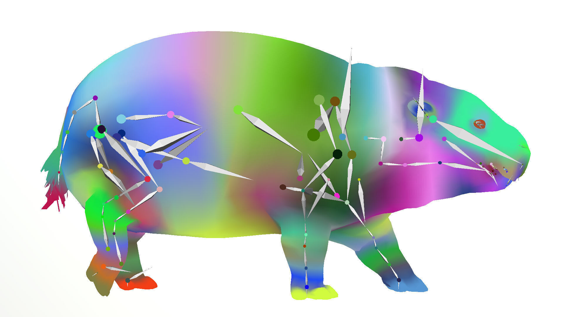 Baby Pygmy Hippopotamus 3D model_6