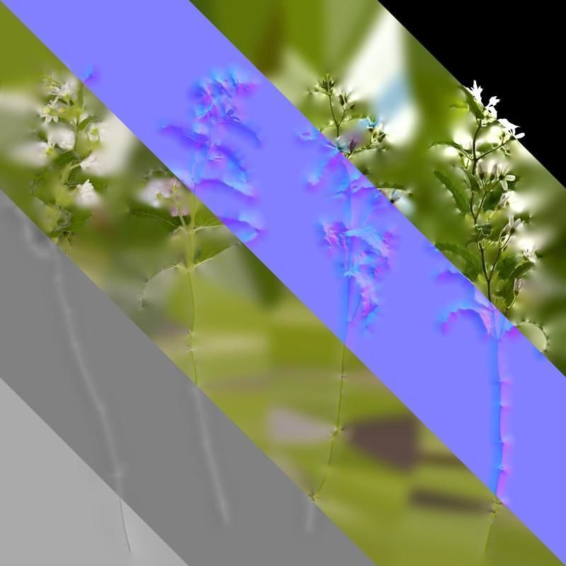 Anydrafts Oxypetalum coeruleum Atlas 03 Texture_8