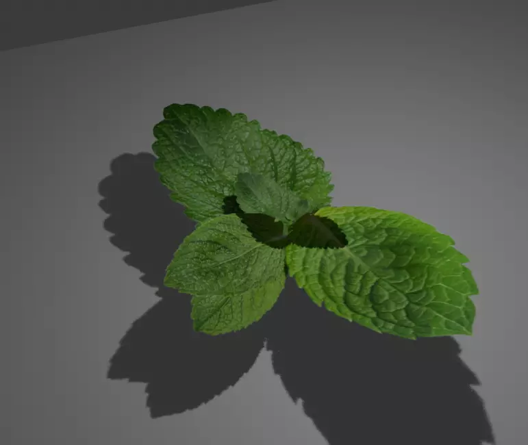 Mint Leaves Free low-poly 3D model