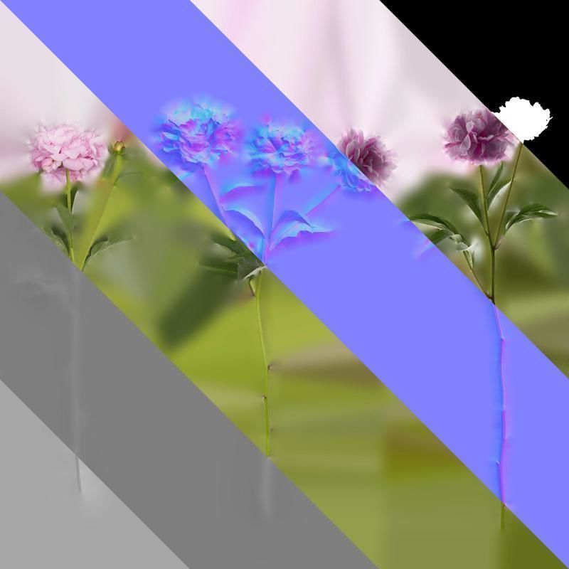 Anydrafts Paeonia lactiflora Atlas 05 Texture_8