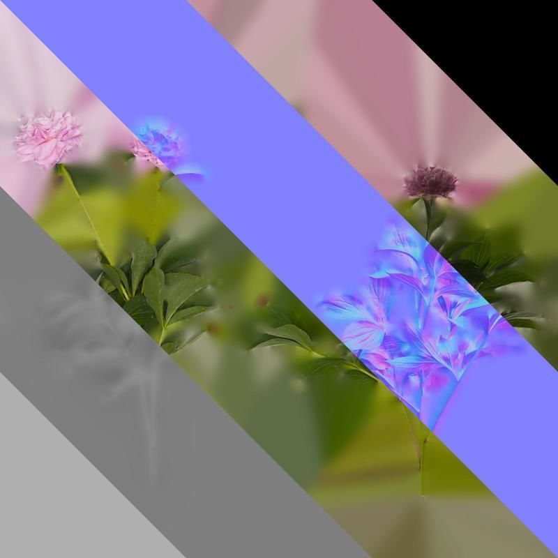 Anydrafts Paeonia lactiflora Atlas 06 Texture_8