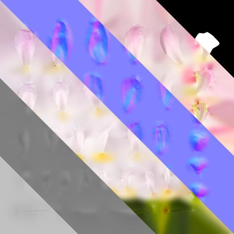 Anydrafts Paeonia lactiflora Flower 12 Texture_8