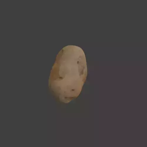 Potato 