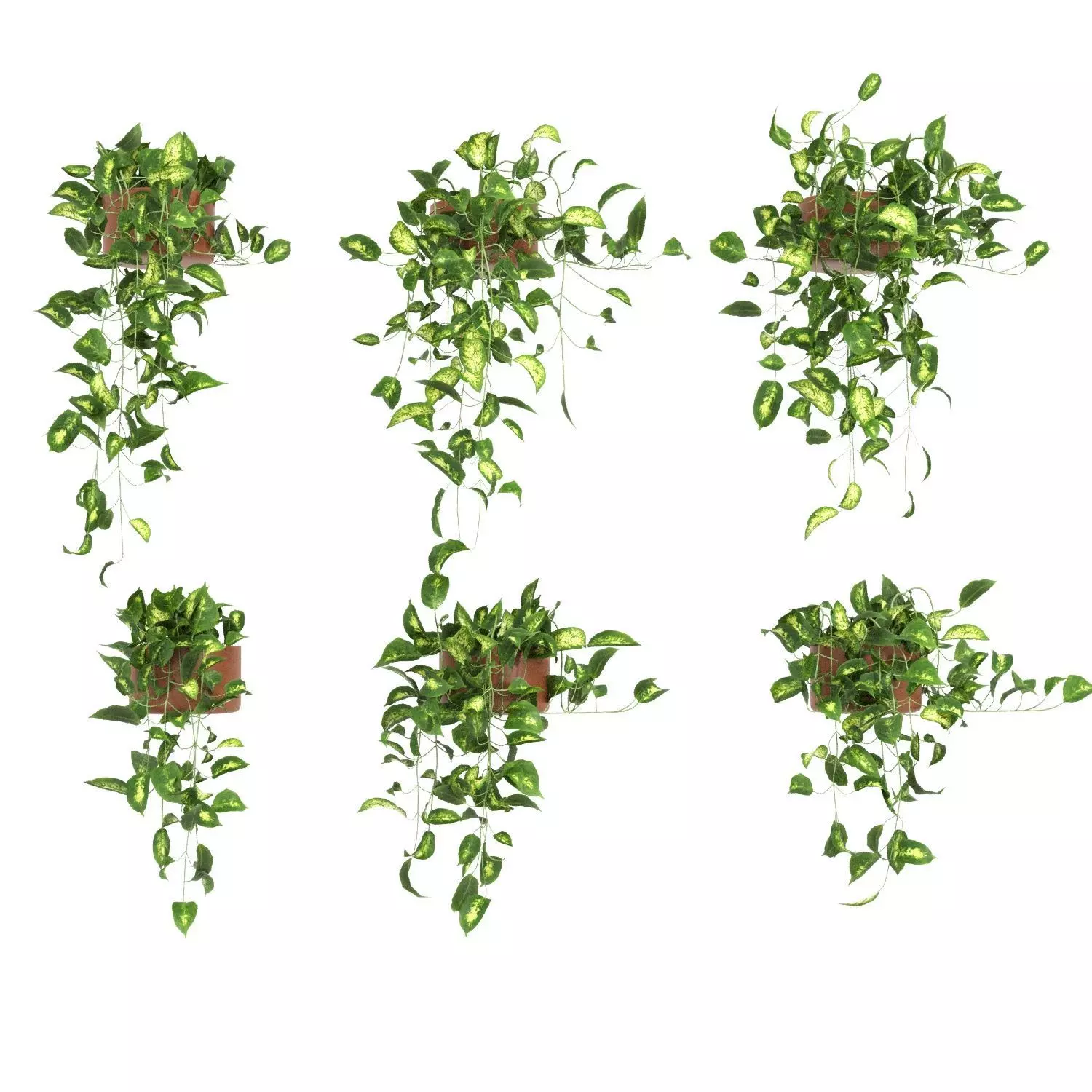 Hanging pot plants 3D model