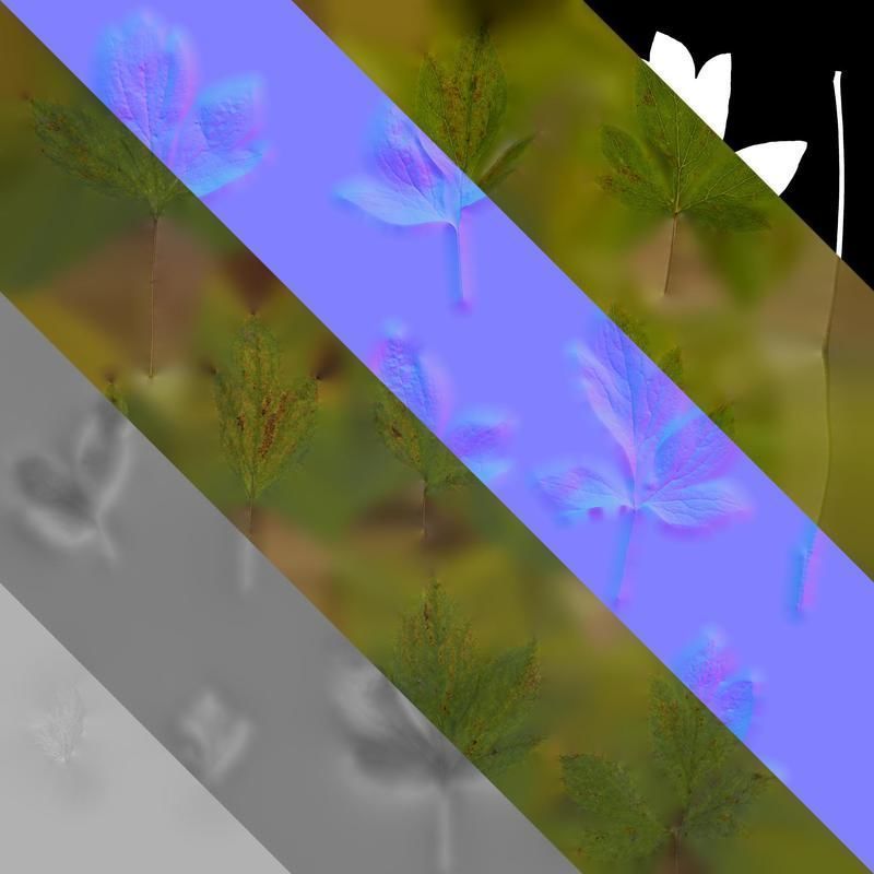 Anydrafts Paeonia lactiflora Leaf 04 Texture_8