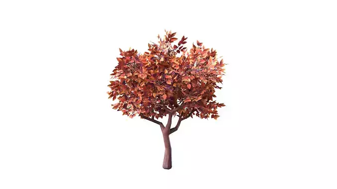 Stylized Tree 03 Autumn