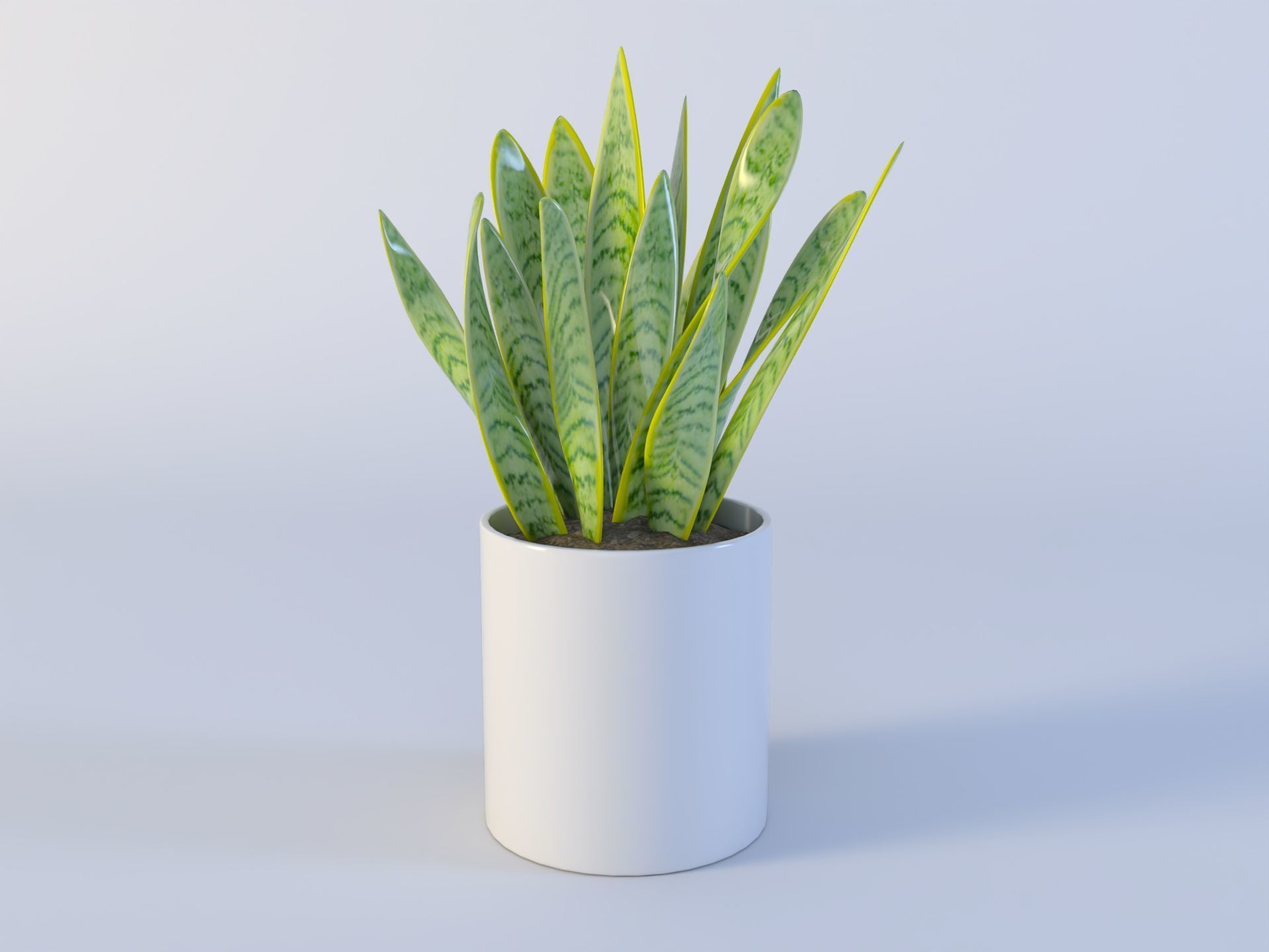 3D Succulent in pot  Low-poly  Low-poly 3D model_7