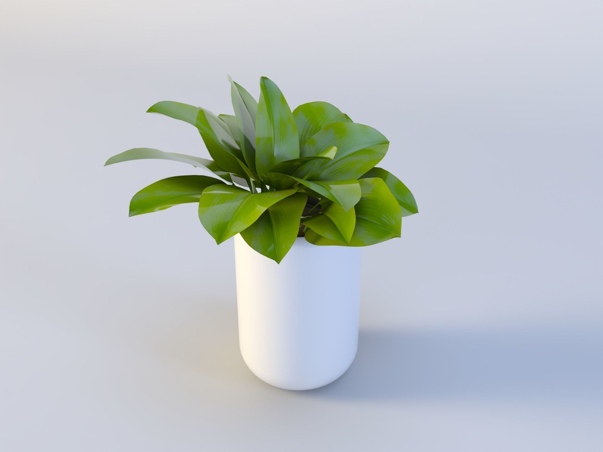 3D Succulent in pot  Low-poly  Low-poly 3D model_6