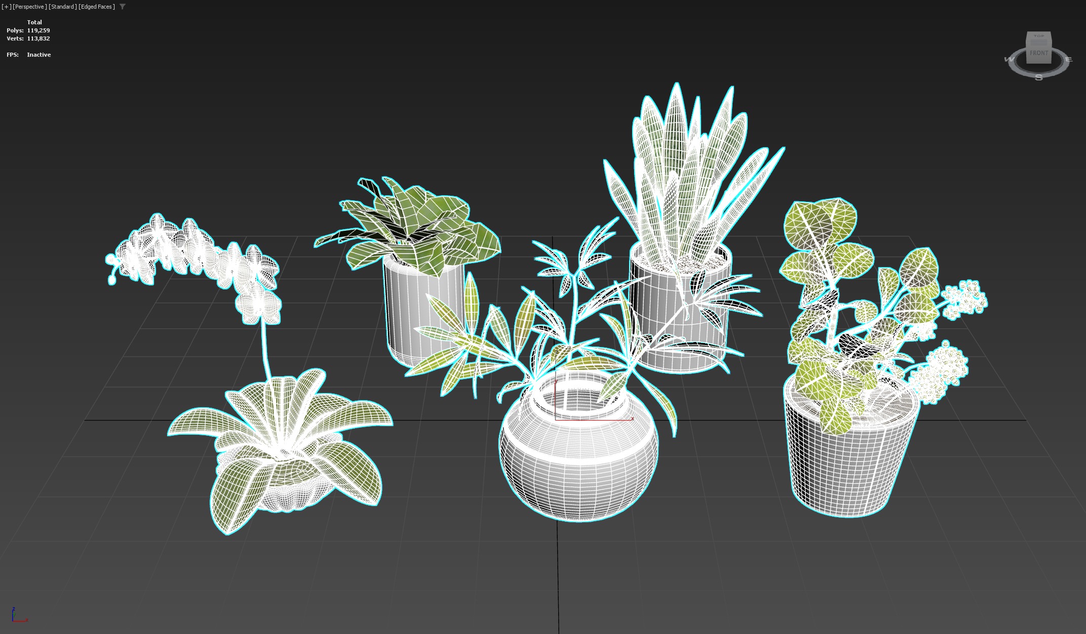 3D Succulent in pot  Low-poly  Low-poly 3D model_9