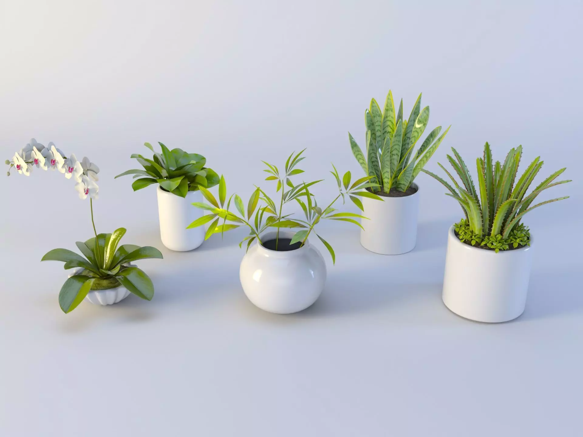 3D Succulent in pot  Low-poly  Low-poly 3D model_0