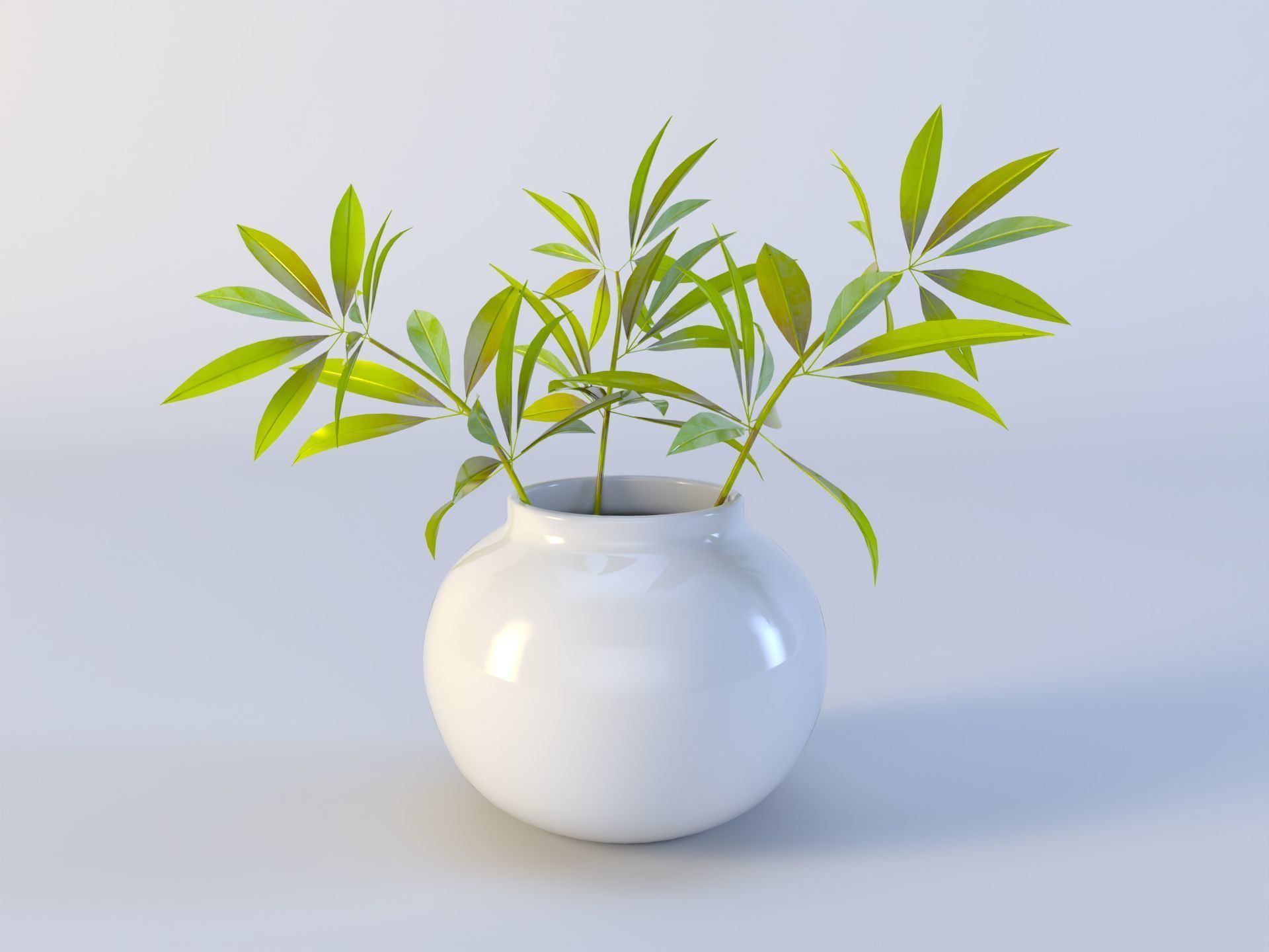 3D Succulent in pot  Low-poly  Low-poly 3D model_4
