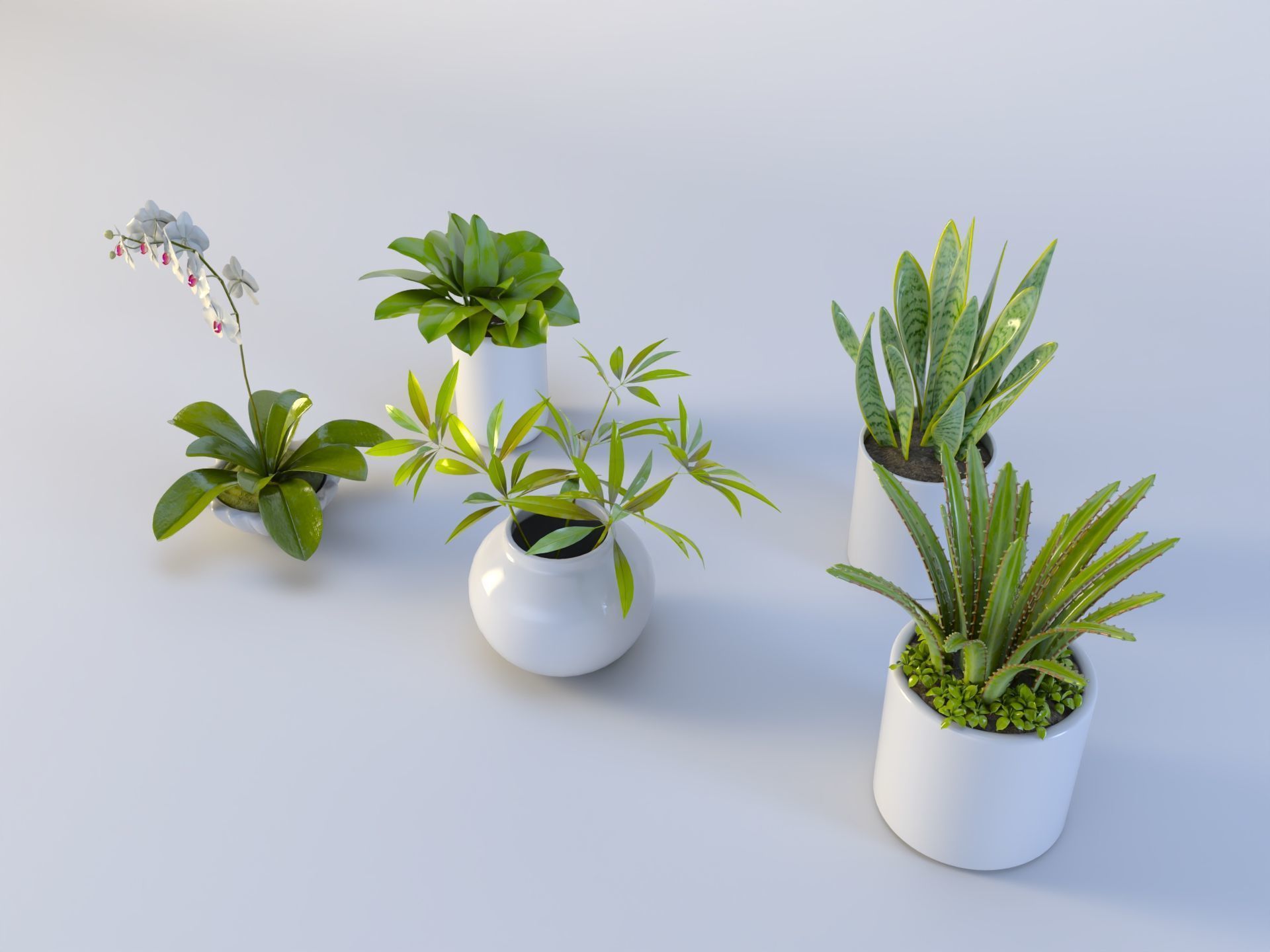 3D Succulent in pot  Low-poly  Low-poly 3D model_2