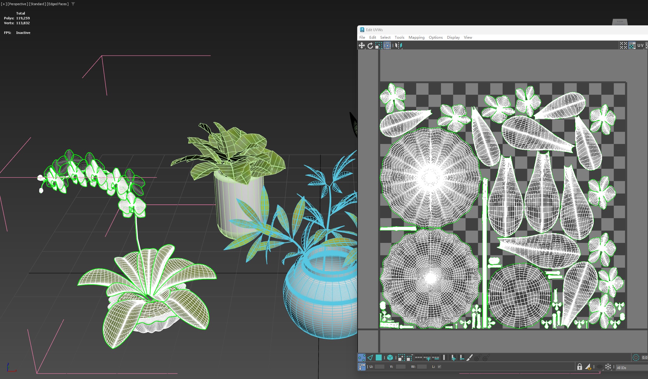 3D Succulent in pot  Low-poly  Low-poly 3D model_8