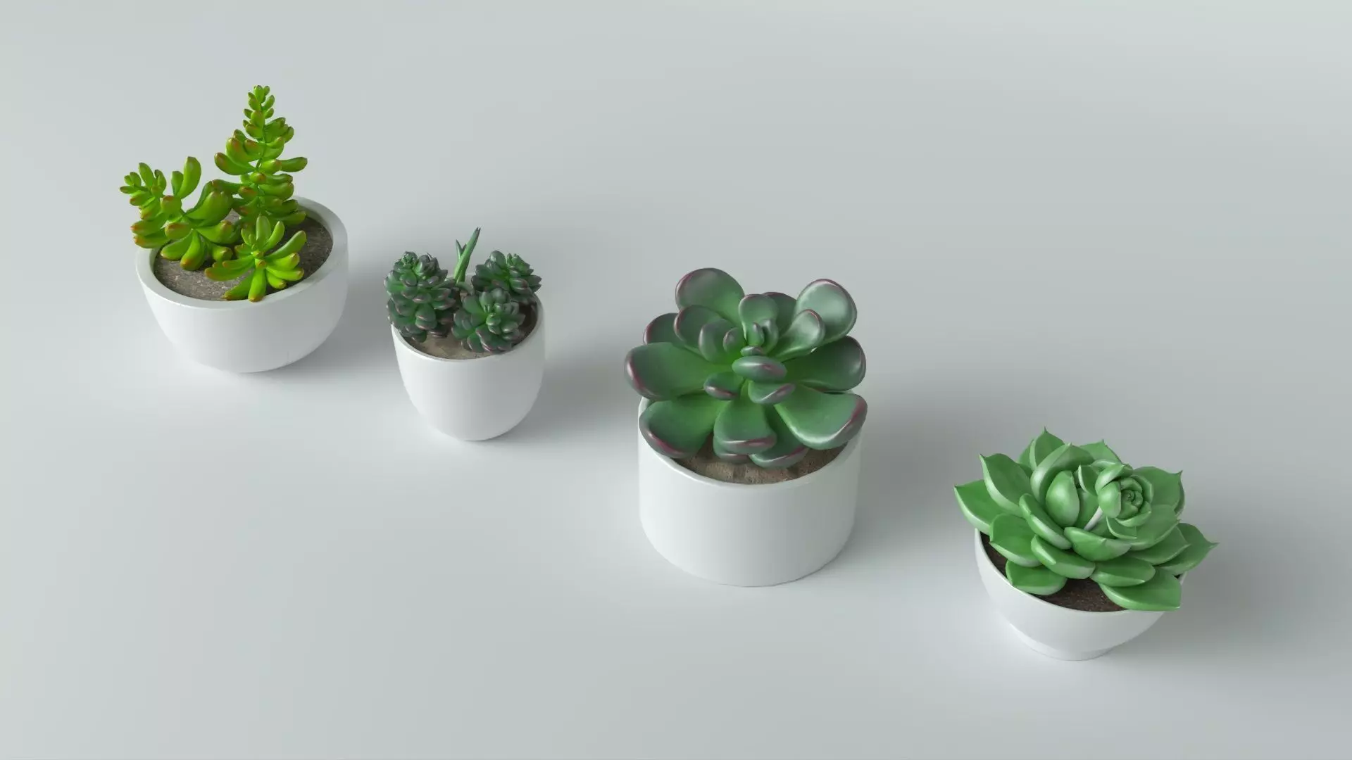 3D Succulent in pot 4 Low-poly Low-poly 3D model