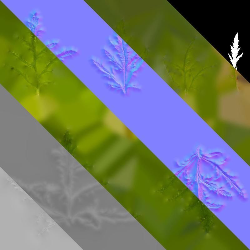 Anydrafts Papaver rhoeas Leaf 05 Texture_8