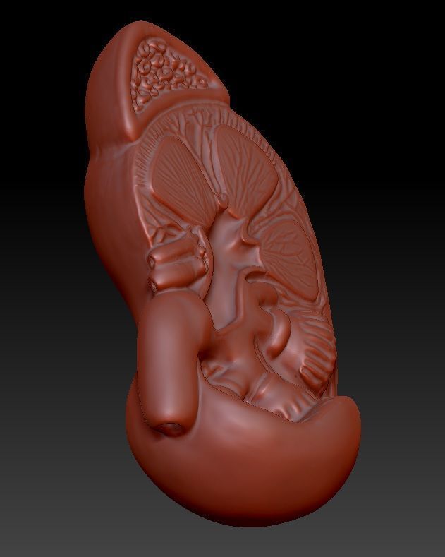 Kidney 3D print model_1