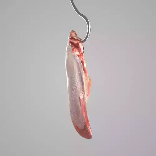 Butchered Pig Tongue Hanged Carcass Low-poly 3D model