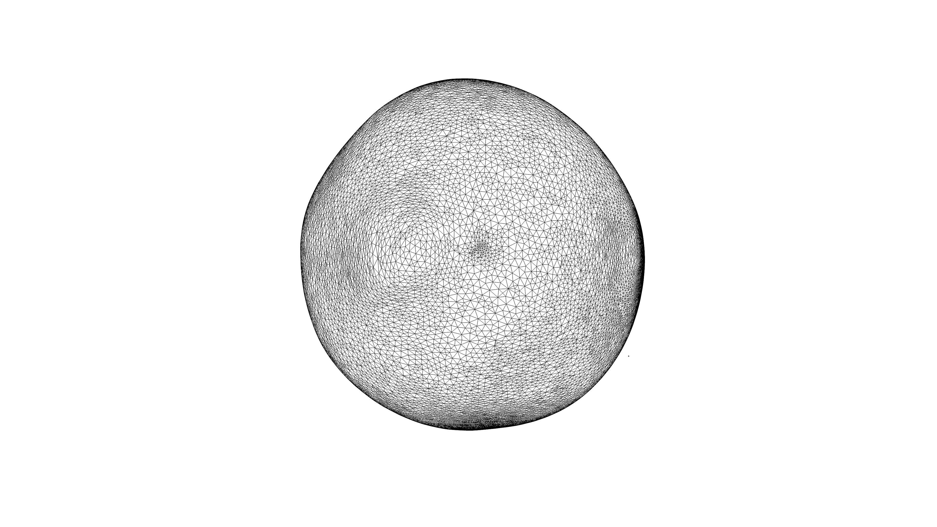 Photorealistic 3D scan of pomelo Low-poly 3D model_23