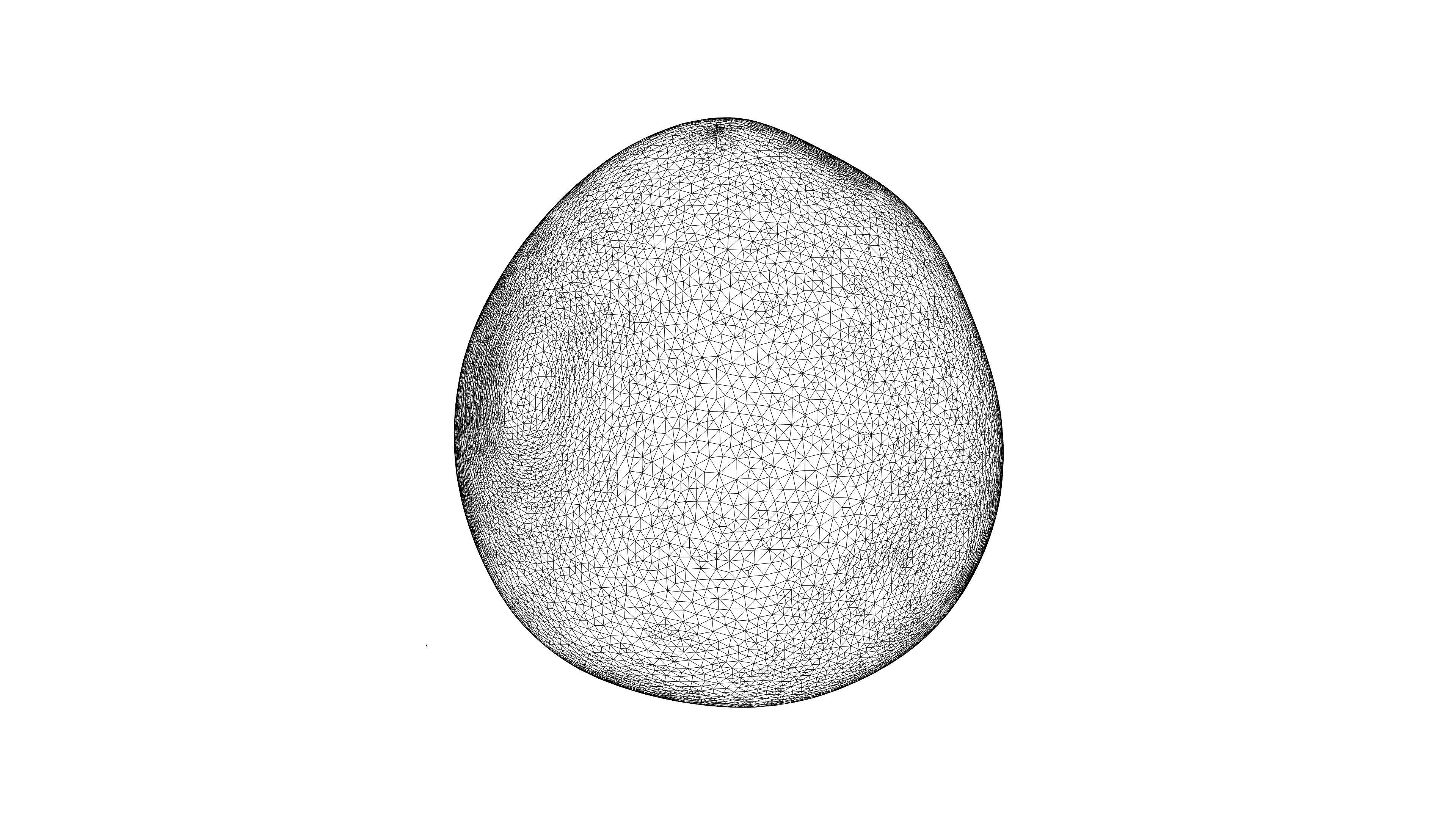 Photorealistic 3D scan of pomelo Low-poly 3D model_20