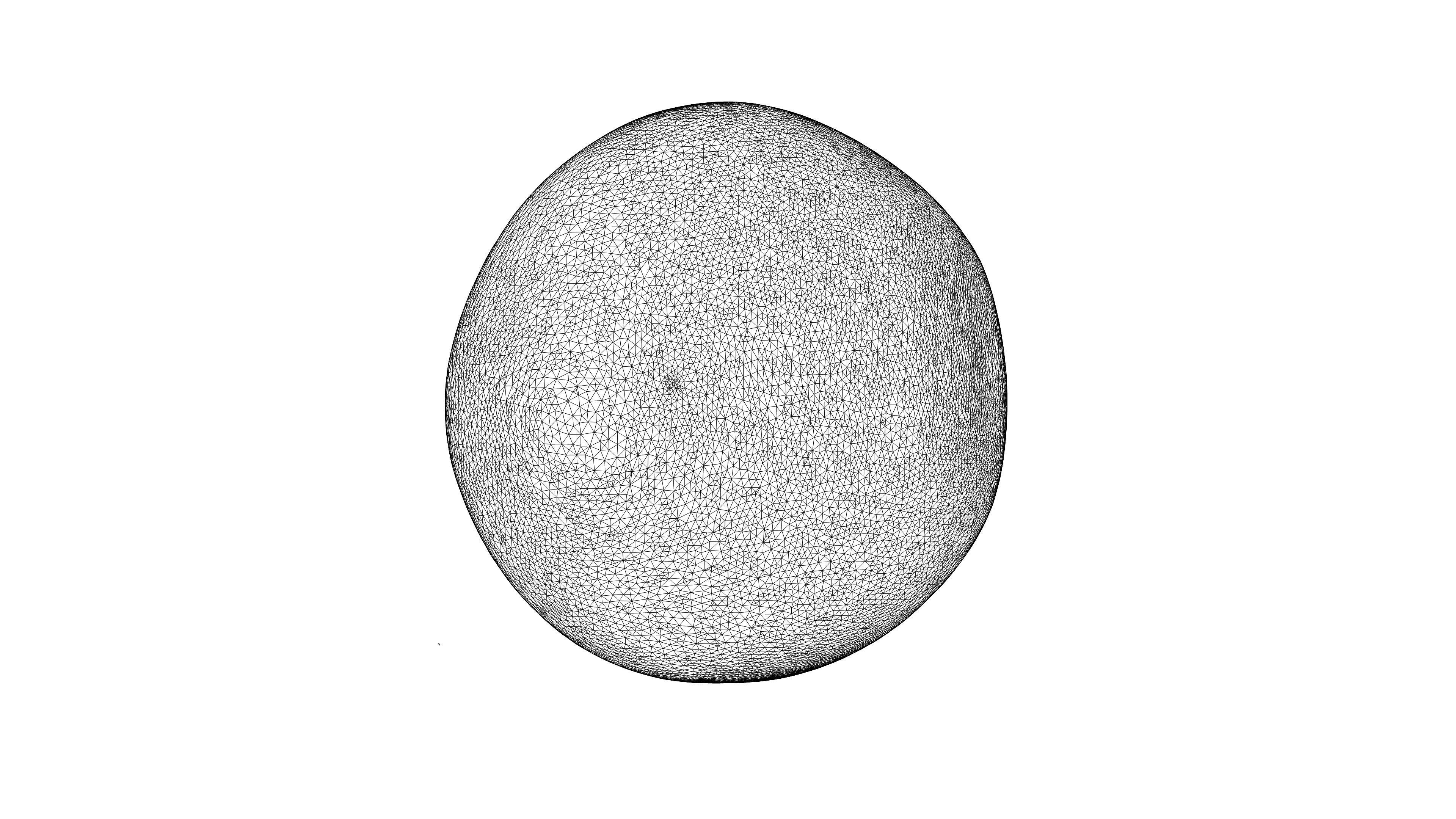 Photorealistic 3D scan of pomelo Low-poly 3D model_25