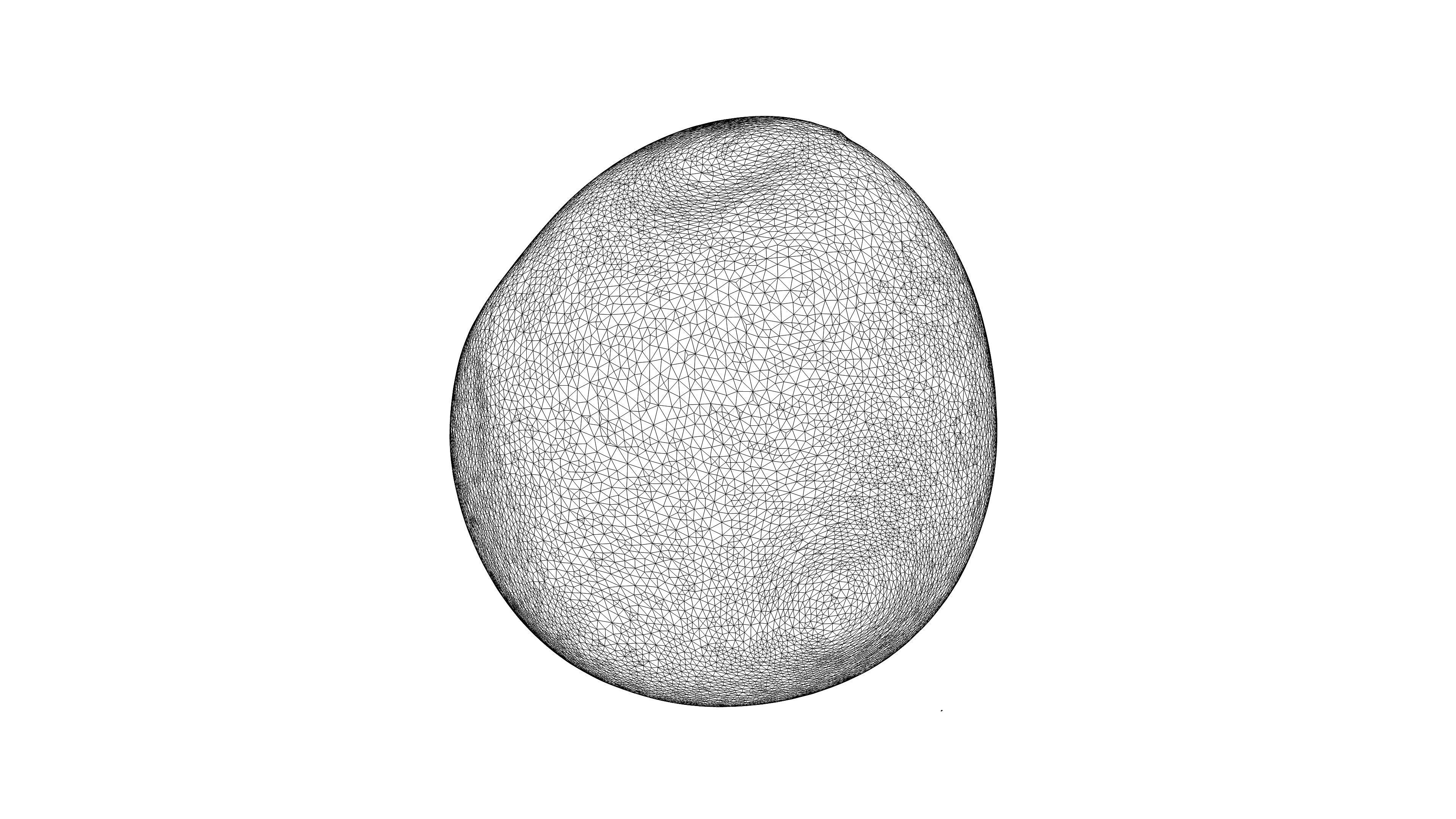 Photorealistic 3D scan of pomelo Low-poly 3D model_22